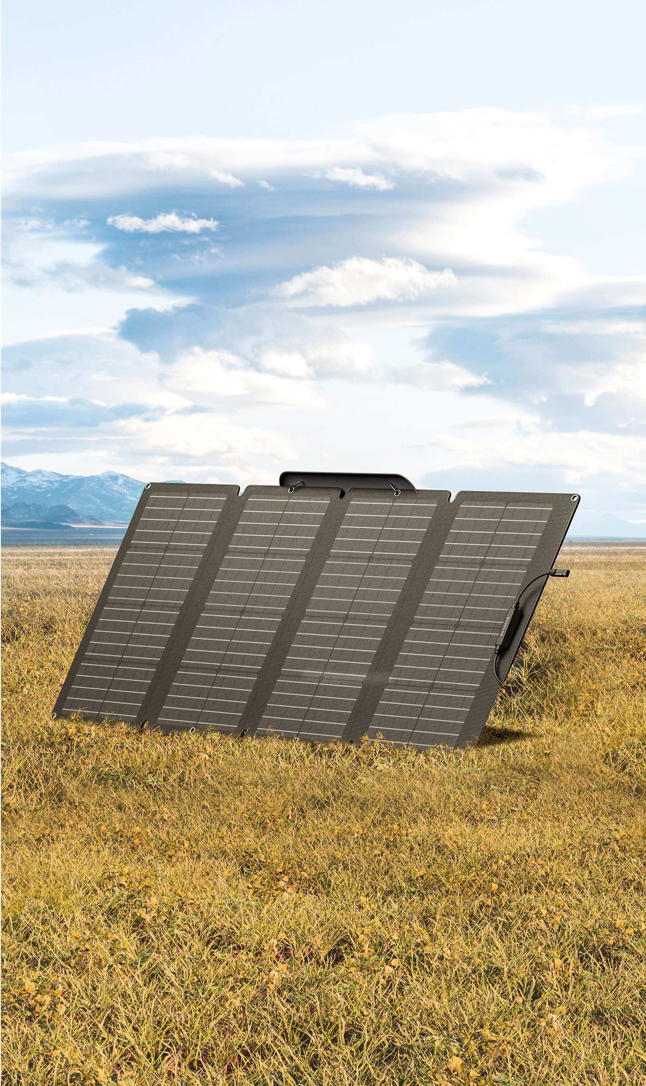 EcoFlow 160W Portable Solar Panel 5015201001