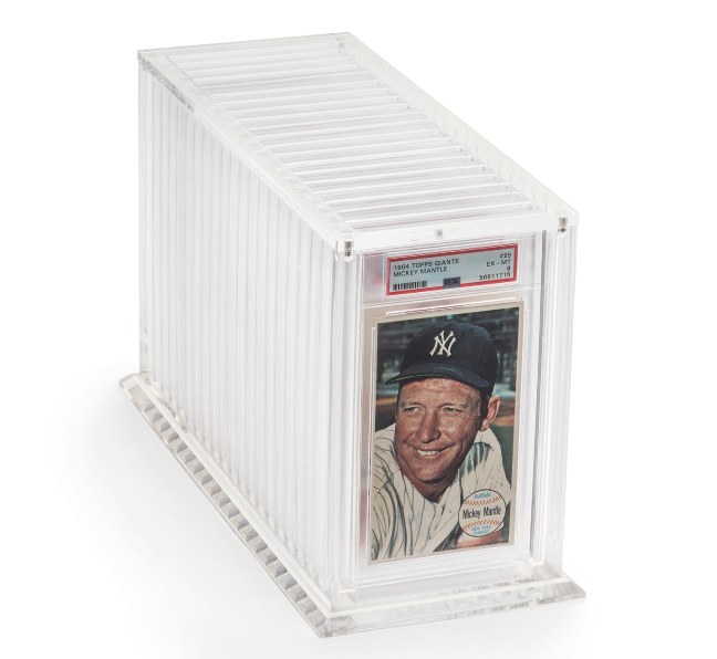 Slab Museum -20 Graded Tall Boy Cards